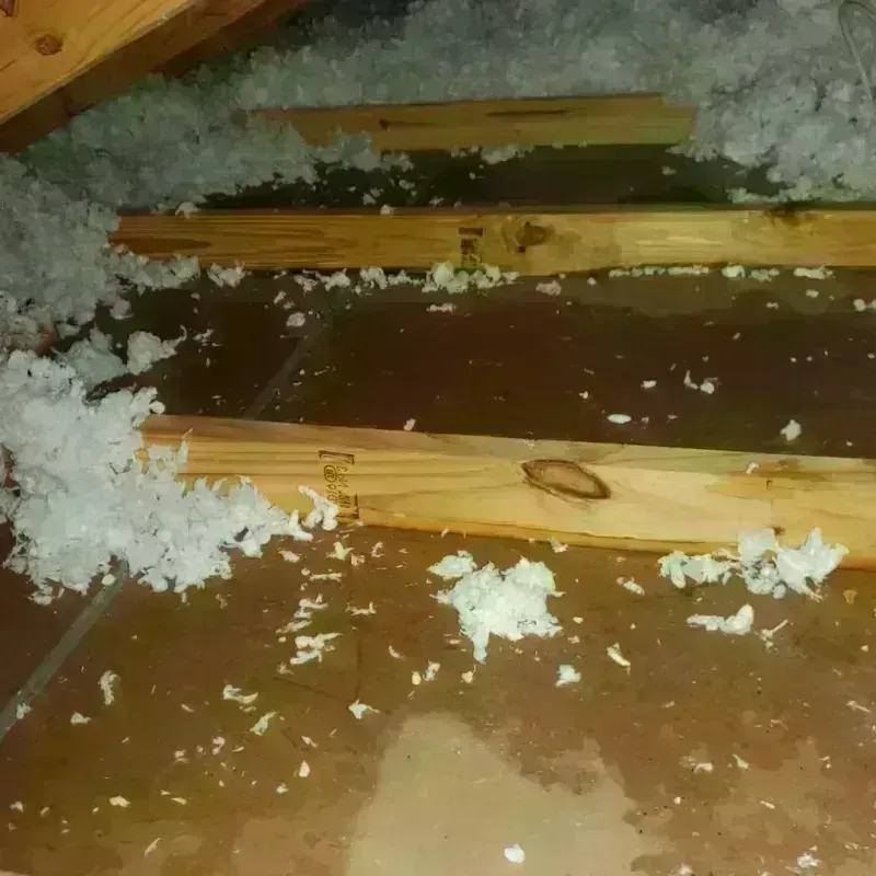 Attic Water Damage in Chappell, NE